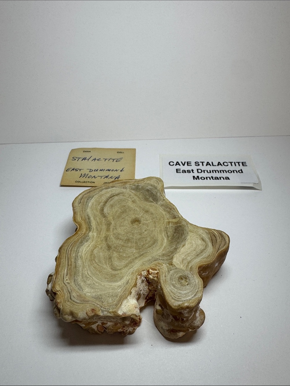 Natural Cave Stalactite Slice in Beige and Cream